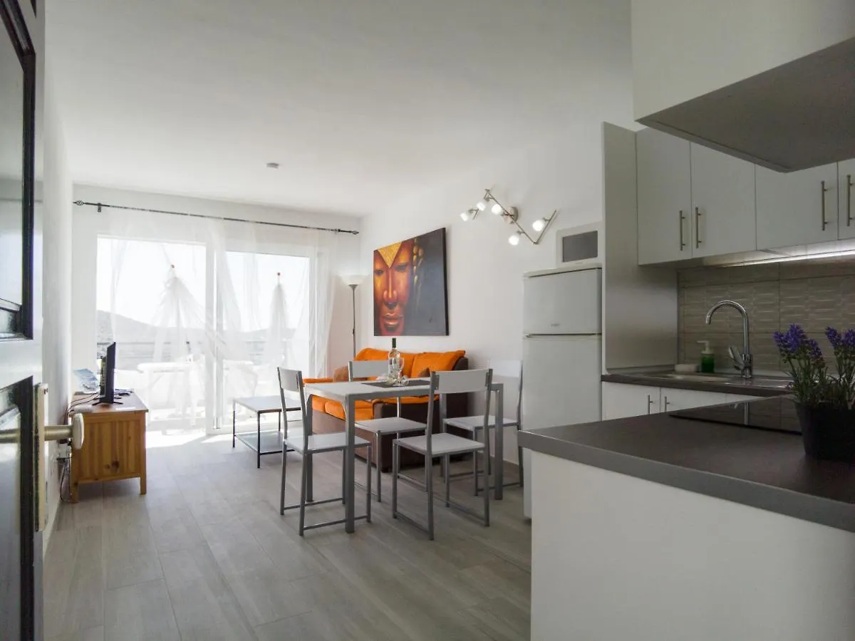 Puerto Rico Apartamento 1 Dormitorio Wifi Piscina Mogan 0*,  Spain